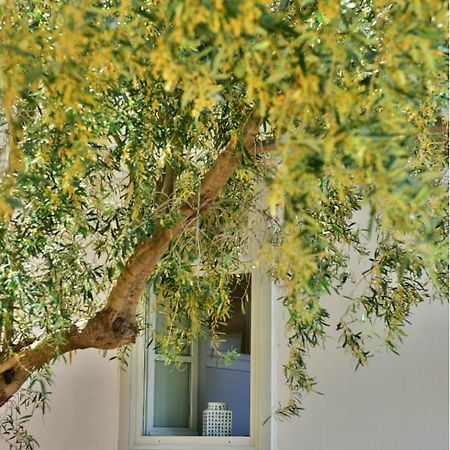 Douskos Beach House Apartment ไฮดรา ภายนอก รูปภาพ