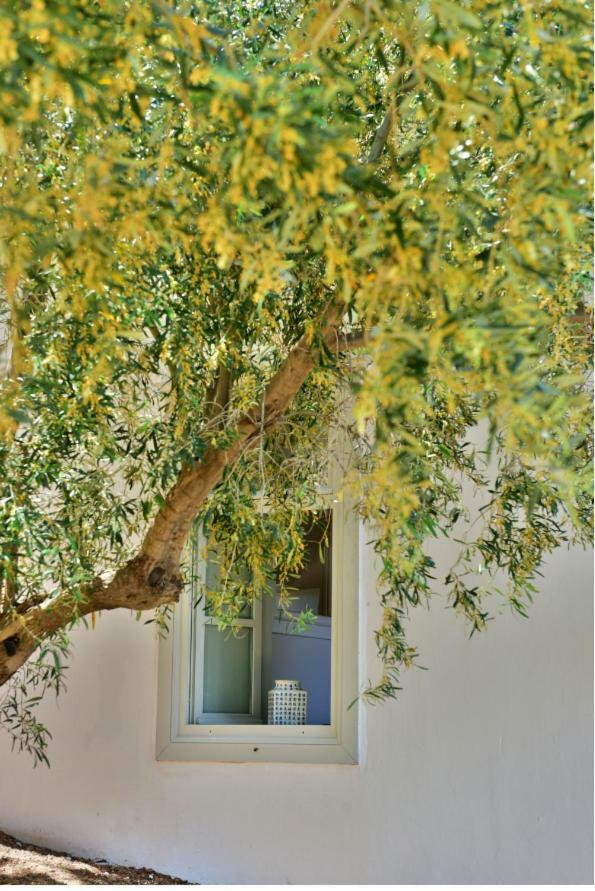 Douskos Beach House Apartment ไฮดรา ภายนอก รูปภาพ